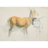 Circle of Robert Hills (19th Century), A study of Deer, inscribed and dated in pencil, watercolour