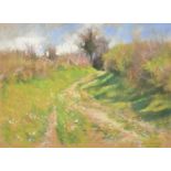Arthur Wardle (1864-1949) British, a hillside pathway, pastel, signed and inscribed, 'April 1935',