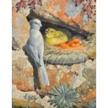 Circle of Charles Tunnicliffe, A pair of ornithological subjects, (birds), watercolours, both