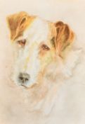 Attributed to John Walker, Head study of a Terrier, watercolour, bears inscriptionverso, 5.5" x 3.