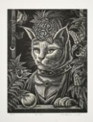 A limited edition wood engraving of a cat, 'The Lady', signed, inscribed and numbered 35/50 in