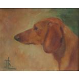 Early 20th Century Continental School, a head study of a Dachshund, oil on canvas, signed with