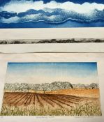 Joan Williams, 'Landscape with burning fields', colour etching, signed, inscribed, numbered 5/50 and