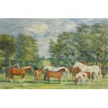 K. Money, Australian, A group of horses and three dogs in a landscape, signed and dated 1961, oil on