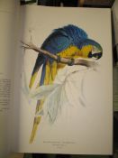 [ORNITHOLOGY] The Birds of Edward Lear, folio, col. plates, 404/1,000 copies