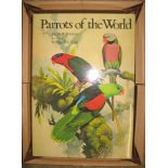 [ORNITHOLOGY] FORSHAW (J.) & COOPER (William T.) Parrots of the World, folio, col. illus.,