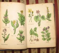 CULPEPER's British Herbal, 12mo, h-col'd plates, later cloth, Wakefield, ca. 1860.