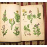 CULPEPER's British Herbal, 12mo, h-col'd plates, later cloth, Wakefield, ca. 1860.