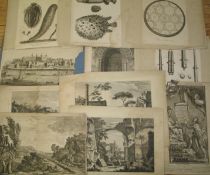 [PRINTS] misc. loose 18th / 19th c. engravings, scientific & topographical (Q).