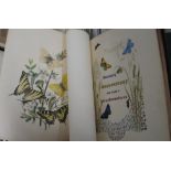 [ENTOMOLOGY] HUMPHREYS & WESTWOOD, British Moths / Butterflies and their Transformations, 2 + 1