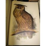 [ORNITHOLOGY] The Birds of Edward Lear, folio, col. plates, d.w., 357/1,000 copies, slipcase