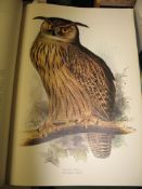 [ORNITHOLOGY] The Birds of Edward Lear, folio, col. plates, d.w., 357/1,000 copies, slipcase