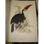 135. [ORNITHOLOGY] The Birds of Edward Lear, folio, col. plates, d.w., 890/1,000 copies, slipcase