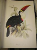 135. [ORNITHOLOGY] The Birds of Edward Lear, folio, col. plates, d.w., 890/1,000 copies, slipcase
