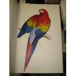 [ORNITHOLOGY] The Birds of Edward Lear, folio, col. plates, 889/1,000 copies, d.w.