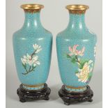 A GOOD PAIR OF CHINESE BLUE GROUND CLOISONNE VASES, on wooden stands, each decorated with flora,