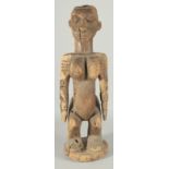 A LARGE AFRICAN CARVED WOOD STANDING FEMALE FIGURE, 60cm high.