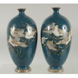 A FINE PAIR OF CHINESE BLUE GROUND CLOISONNE VASES, decorated with birds, 15cm high.