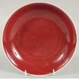 A CHINESE COPPER RED GLAZE PORCELAIN DISH, 22cm diameter.