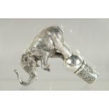 A NOVELTY SILVER PLATED ELEPHANT CANE HANDLE. 4.5ins long.