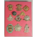 A COLLECTION OF 12 IRISH BADGES including I S H ROYAL MUNSTER, THE LEINSTER, INNISKILLING.