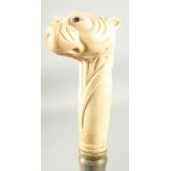 A WALKING STICK WITH CARVED BONE HANDLE 'Bull Dog'.