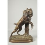 PROSPER LECOURTIER (1855 - 1924) FRENCH. A STRIKING BRONZE OF A BOXER DOG tied to a post. Signed