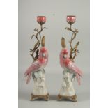 A GOOD PAIR OF PARROT CANDLESTICKS on gilt bases. 17ins high.