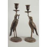 A PAIR OF BRONZED METAL BIRD CANDLESTICKS on circular bases. 10ins high.