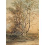 Late 19th Century English School, a study of trees by a river, watercolour, 24" x 17.5" (61 x 44.