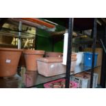Various terracotta and other flower pots.