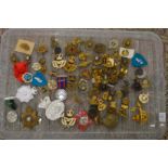A box of various military badges.