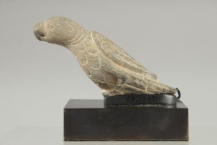 A RARE 12TH-13TH CENTURY OR EARLIER INDIAN CARVED GREY SCHIST STONE PARROT ON STAND, carving 13cm