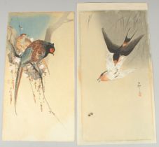 KOSON OHARA (1877-1945): SPARROWS, PHEASANT ON THE CHERRY TREE; two original early 20th century