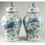 A LARGE PAIR OF CHINESE BLUE AND WHITE PORCELAIN JARS AND COVERS, decorated with foo dogs, 53cm