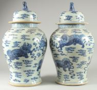 A LARGE PAIR OF CHINESE BLUE AND WHITE PORCELAIN JARS AND COVERS, decorated with foo dogs, 53cm