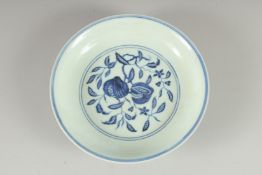 A CHINESE BLUE AND WHITE PORCELAIN DISH, decorated with fruit and lotus, 19.5cm diameter.