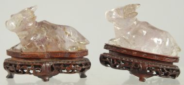TWO CHINESE CARVED ROCK CRYSTAL BULLS, on fitted wooden stands, each figure approx. 7.5cm long.