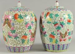 A PAIR OF CHINESE FAMILLE ROSE PORCELAIN JARS AND COVERS, painted with peaches and butterflies, 31cm