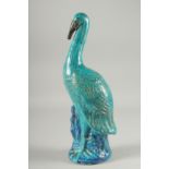 A 19TH CENTURY CHINESE TURQUOISE GLAZED POTTERY STORK, 40cm high.