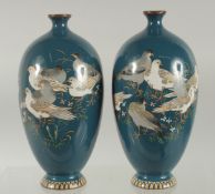 A FINE PAIR OF CHINESE BLUE GROUND CLOISONNE VASES, decorated with birds, 15cm high.