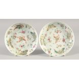 A PAIR OF CHINESE FAMILLE ROSE PORCELAIN BUTTERFLY SAUCERS, six-character mark to base, 13.5cm
