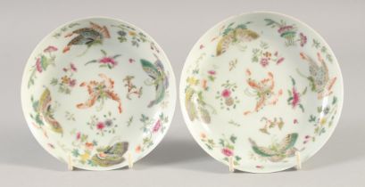 A PAIR OF CHINESE FAMILLE ROSE PORCELAIN BUTTERFLY SAUCERS, six-character mark to base, 13.5cm