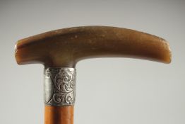 A VICTORIAN RHINO HORN HANDLE WALKING CANE with silver band. Birmingham.