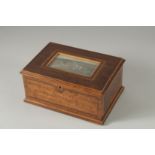 A 19TH CENTURY MAHOGANY JEWEL BOX, the lid with a painting of a country house. 10ins long.