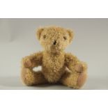 AN EARLY WOOL TEDDY BEAR with glass eyes. 12ins long.