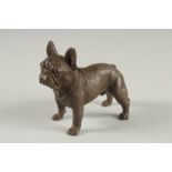 A BRONZE BULL DOG. 2.5ins long.