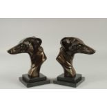 A PAIR OF BRONZE BUSTS OF GREYHOUNDS. 8.5ins high.
