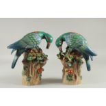 A PAIR OF PORCELAIN EXOTIC BIRDS on a tree stump. 12ins high.