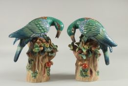 A PAIR OF PORCELAIN EXOTIC BIRDS on a tree stump. 12ins high.